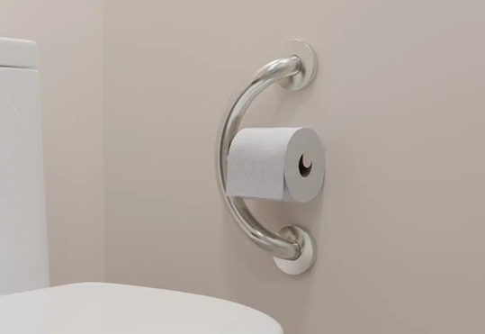 Toilet Paper HolderBrushed Stainless